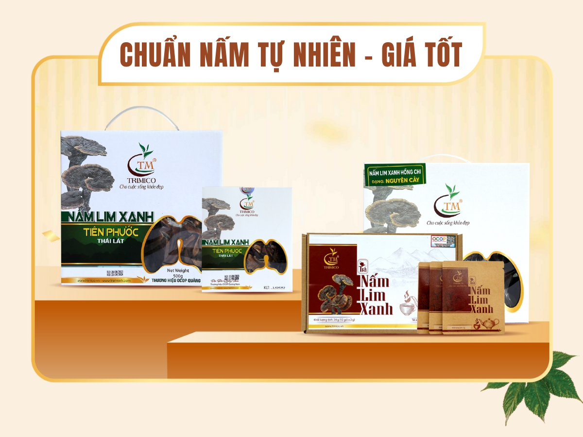 nấm Lim Xanh Hà Nội